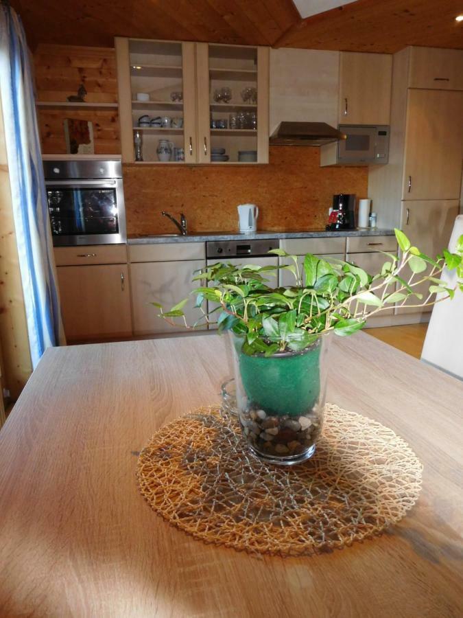 Apartment Aschaber Waidring Luaran gambar